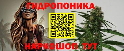 стаф Моздок