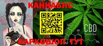 стаф Моздок