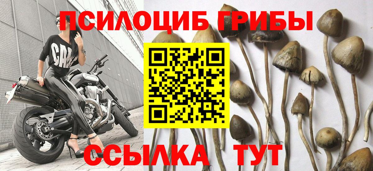 Галлюциногенные грибы MAGIC MUSHROOMS  Вход с VPN  Воткинск 